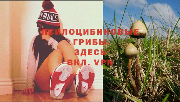 индика Алексеевка