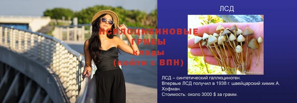 индика Алексеевка