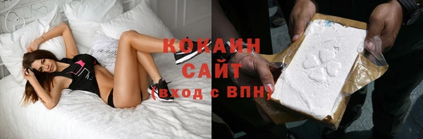 индика Алексеевка