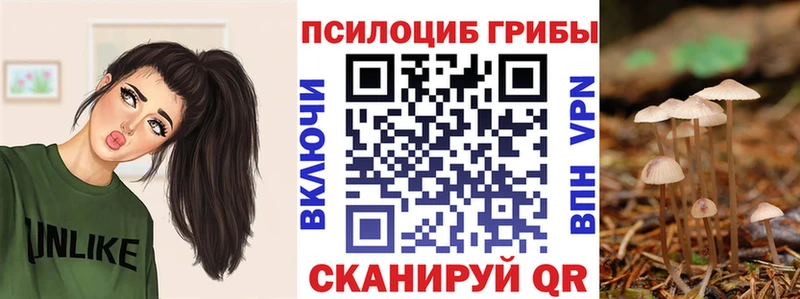 blacksprut маркетплейс Пущино Галлюциногенные грибы Cubensis