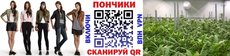 Канабис индика Пущино